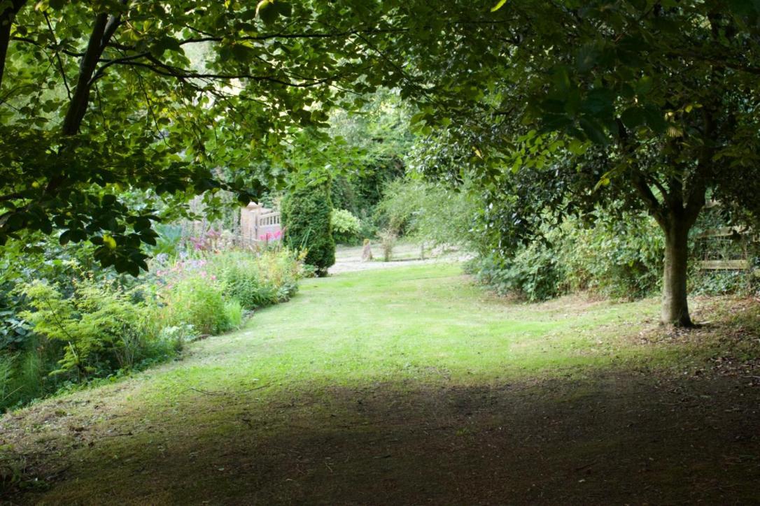 Bagnell Farm Cottage Chiselborough 외부 사진
